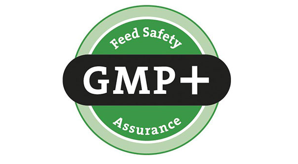 06_GMP plus